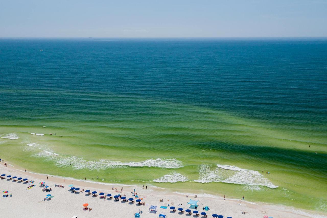 Sunset Spring Break Special ! Διαμέρισμα Gulf Shores Εξωτερικό φωτογραφία